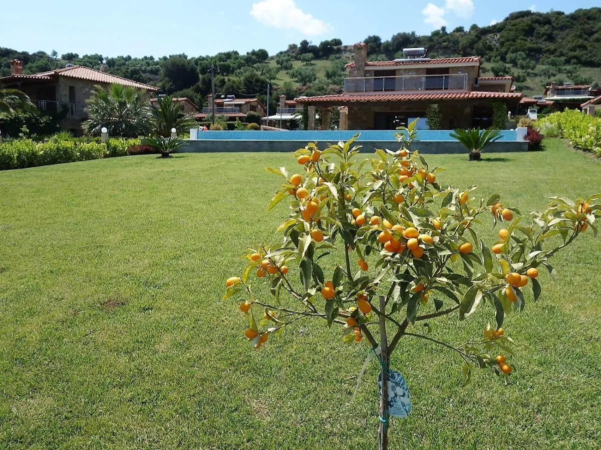 Blue Dream Villa Nea Skioni 0*,